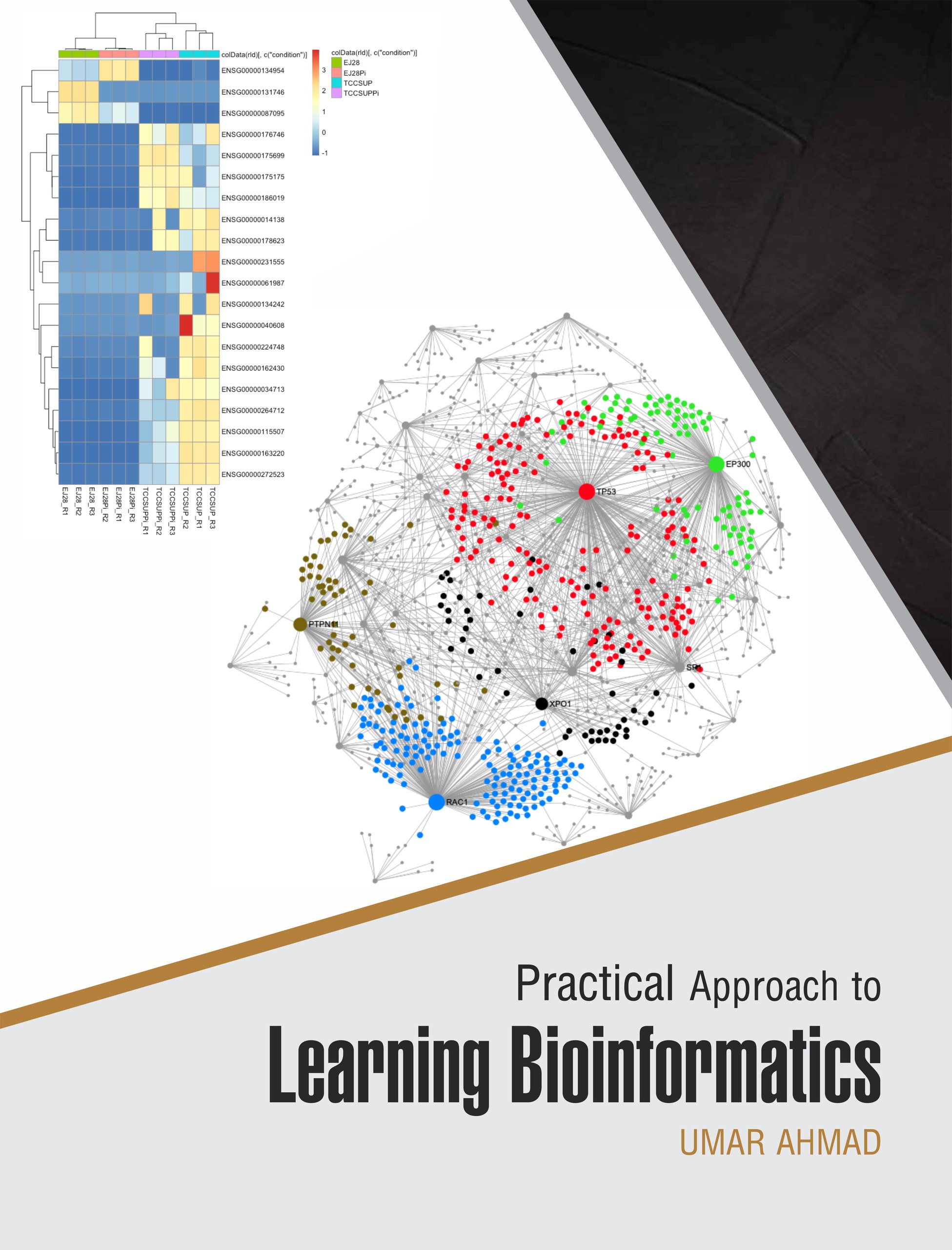 Cover of Practical Approach to Learning Bioinformatics